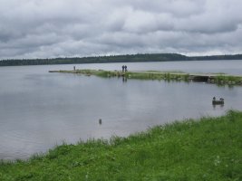 IMG_2306.jpg