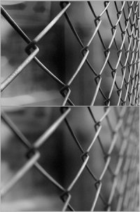 depth-of-field-pro-3-2.jpg