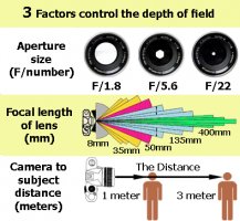 depth of field effects.jpg
