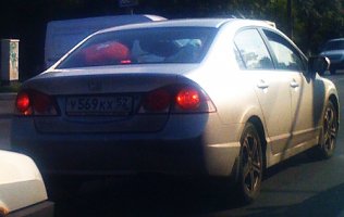 569.jpg
