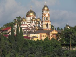 IMG_5446.JPG