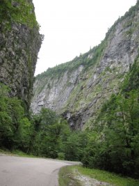 IMG_5675.JPG