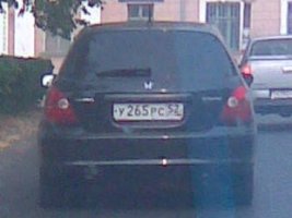 265.jpg