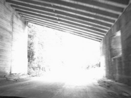 IMG_5918.JPG