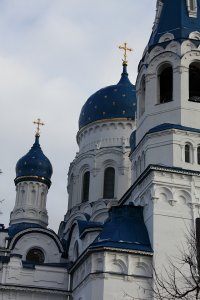IMG_1284.JPG