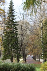 IMG_1296.JPG
