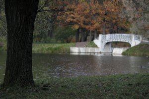 IMG_1313.JPG