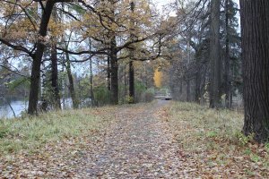 IMG_1340.JPG