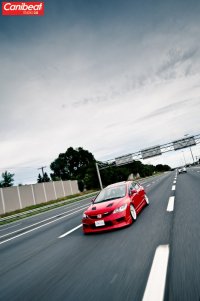 88cd8491c5287582-large.jpg