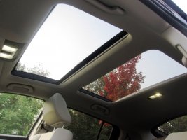 88cd2bd0ad9d21d0-large.jpg