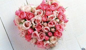 valentine_058-1024x600.jpg