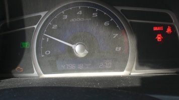 CAM_0731.jpg