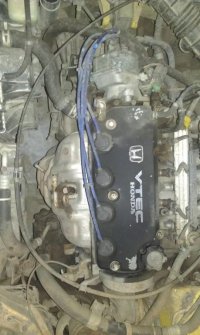 IMAG0572_459x768.jpg