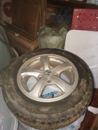 IMG_20230129_123938.jpg