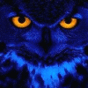 animals188.gif