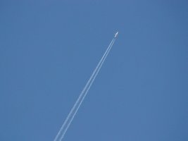 DSC00639.JPG