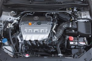 73202.jpg