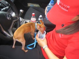 IMG_1203.jpg