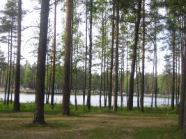 IMG_1313.jpg