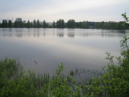 IMG_1352.jpg