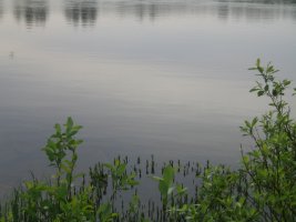 IMG_1353.jpg