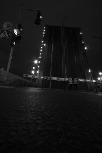 IMG_6118.jpg