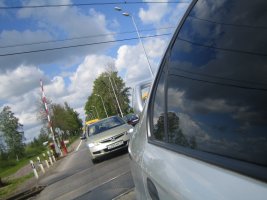 IMG_1417.jpg