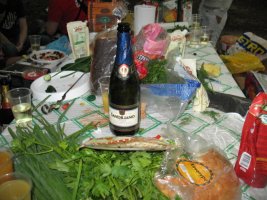 IMG_9879.JPG