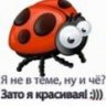 Радуга