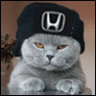 ~Cиний Civic~ 72rus